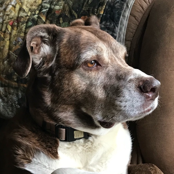 Meet your Posher, Laurie - Picture 12 of 12